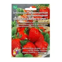 Семена Земляника &laquo;Челябинский метеорит&raquo;, 10 шт., ремонтантная, крупноплодная, &laquo;Уральский дачник&raquo;