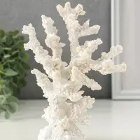 Сувенир полистоун "Коралл белый" 14,5х5,5х17,5 см