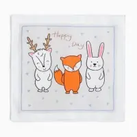 Платки носовые детские &laquo;Крошка Я. Зверята&raquo;, 21&times;21 см, набор 12 шт., хлопок 100%, МИКС