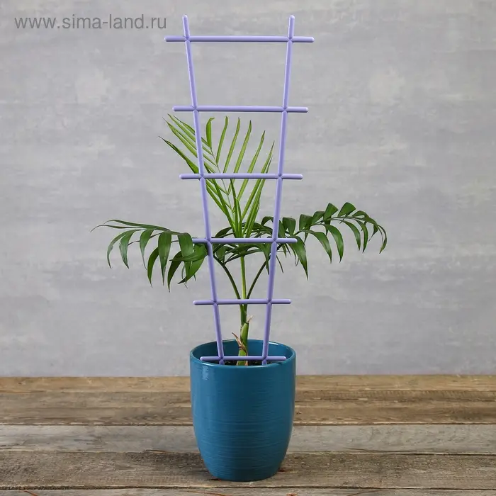 Шпалера, 56 × 19 × 0.5 см, пластик, цвет МИКС, «Лесенка» Шпалера, 56 × 19 × 0.5 см, пластик, цвет МИКС, «Лесенка»