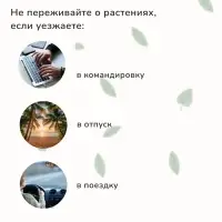 Автополив для комнатных цветов, 380 мл, h=16 см, пластик, МИКС