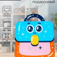 Пакет подарочный, с zip-lock застежкой &laquo;Портфель&raquo;, фигурный, 20&times;19+3 см