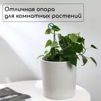 Колышек для подвязки растений, h=30 см, d=3 мм, проволочный, зелёный, Greengo