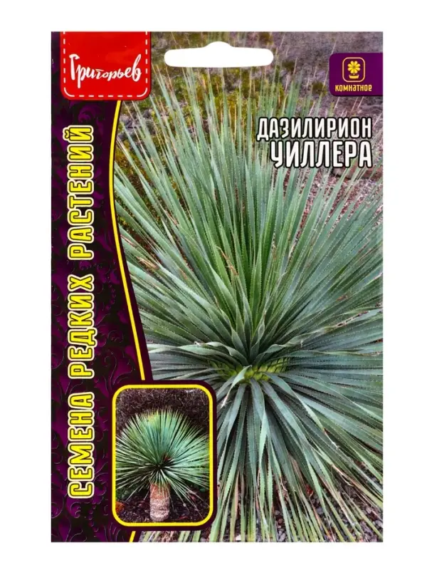 Семена цветов Дазилирион Уиллера 10 шт. / НОВИНКА  12.29 г.