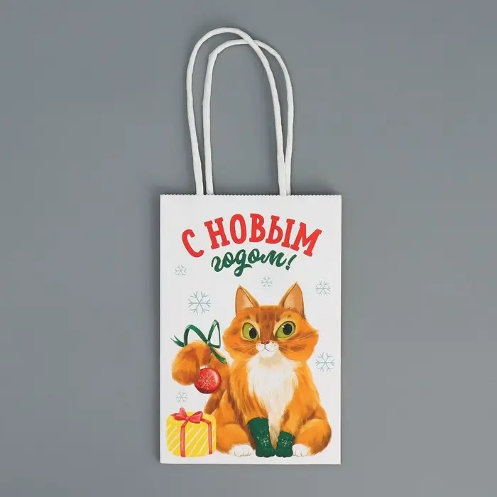 Пакет подарочный новогодний крафтовый «С Новым годом», 15 х 10 х 6 см Пакет подарочный новогодний крафтовый «С Новым годом», 15 х 10 х 6 см