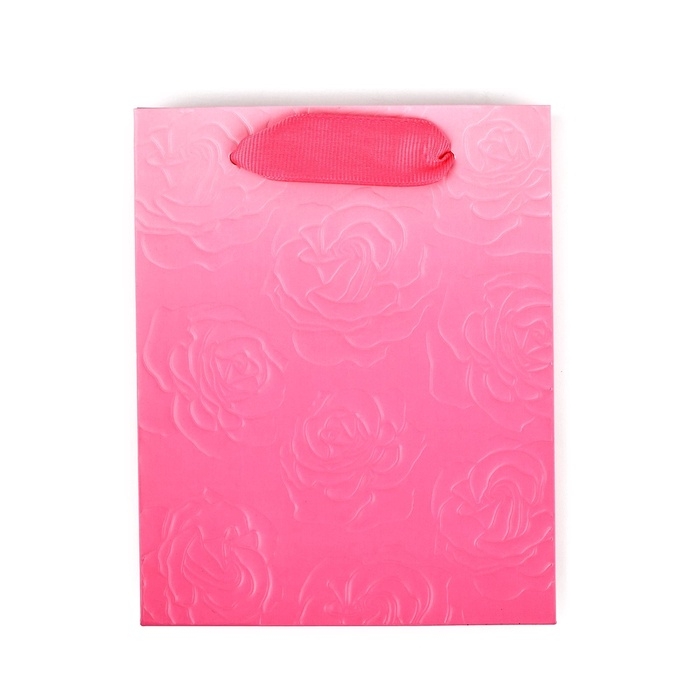 Пакет ламинированный вертикальный «Цветы», S 12 х 15 х 5.5 см Пакет ламинированный вертикальный «Цветы», S 12 х 15 х 5.5 см