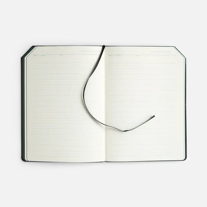 Ежедневник Espresso, недатированный, зеленый Ежедневник Espresso, недатированный, зеленый