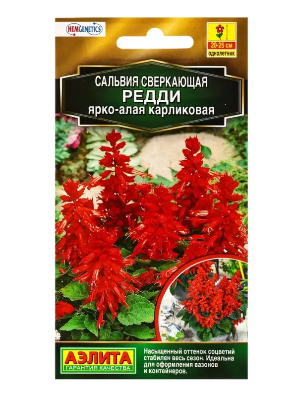 Семена цветов Сальвия Редди ярко-алая карликовая С. Hem Genetics Золотая серия, Ц/П,7 шт. Семена цветов Сальвия Редди ярко-алая карликовая С. Hem Genetics Золотая серия, Ц/П,7 шт.