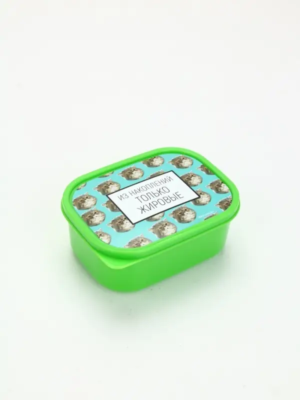 Ланч-бокс «Накопления», 500 мл Ланч-бокс «Накопления», 500 мл