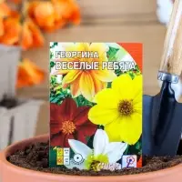 Семена цветов Георгина &laquo;Веселые ребята&raquo;, однолетник, 0.1 г, &laquo;Сембат&raquo;