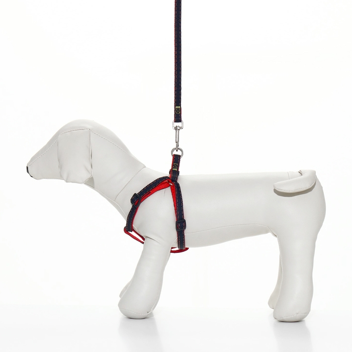 Комплект Комплект "Джинс", ширина 1 см, поводок 120 см, шлейка 25-40 см, красный