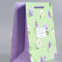 Пакет подарочный "Нежный штрих" ламинированный 18 х 22,3 х 10 см