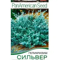 Семена Цветов Гелихризум "Сильвер мист", 3 шт