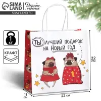 Пакет подарочный новогодний «Ты - лучший подарок», 22 х 22 х 11 см Пакет подарочный новогодний «Ты - лучший подарок», 22 х 22 х 11 см