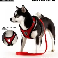 Шлейка с поводком, размер L, ОШ 33 см, ОГ 36-48 см, со светоотражающей нашивкой, мягкая, красная