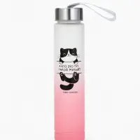 Бутылка для воды пластиковая &laquo;Котя&raquo;, 300 мл