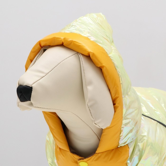 Комбинезон Комбинезон "Эфир", размер 8 (ДС 23, ОГ 30, ОГ 22 см), жёлтый