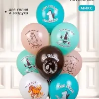 Шар латексный 12" "Лошади, Приколы", 1 ст, 2 цв, 5 дизайнов, набор 5 шт. МИКС 10925717