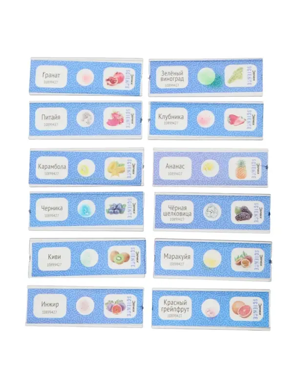 ЭВРИКИ Набор для опытов ЭВРИКИ Набор для опытов "Набор микропрепаратов", фрукты и ягоды