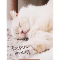 Набор блокнотов А6 40л кл на скобе Сладкий сон, мел карт, бл офс, 4В 20шт