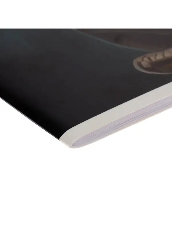 Альбом для рисования Calligrata &laquo;Динозавр&raquo; А4, 32 листа на скрепке, обложка мелованный картон, блок 100 г/м&sup2;