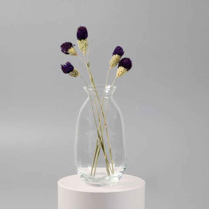 Ваза Ваза "Этна"d=-4.2см h=18,5х9 см, v-0,75л