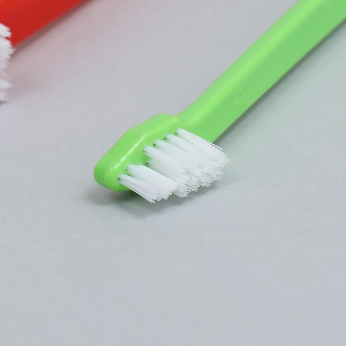 Зубная щётка двухсторонняя, набор 2 шт, красная и зелёная Зубная щётка двухсторонняя, набор 2 шт, красная и зелёная