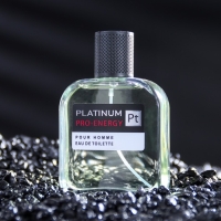 Туалетная вода мужская Pro-Energy Platinum, 100 мл (по мотивам Egoiste Platinum (Chanel)