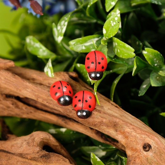 Декор флористический «Божьи коровки», 40 шт., 11 х 8 мм Декор флористический «Божьи коровки», 40 шт., 11 х 8 мм