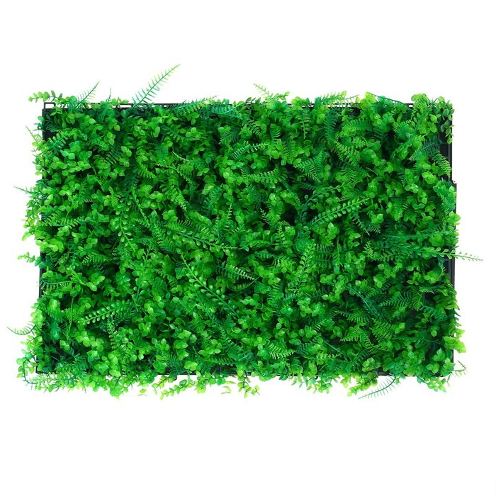 Декоративная панель, 60 × 40 см, «Самшит, Папоротник», Greengo Декоративная панель, 60 × 40 см, «Самшит, Папоротник», Greengo