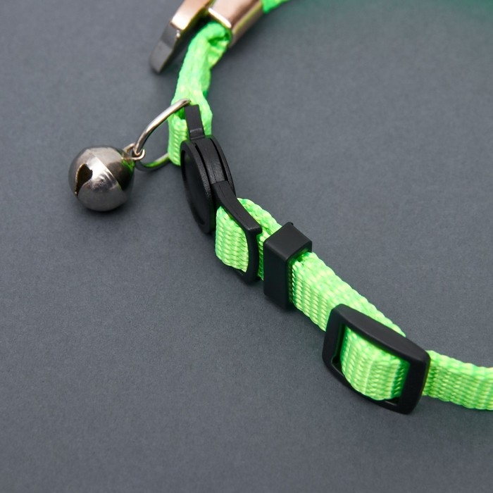 Ошейник кошачий Ошейник кошачий "Бантик" со стразами, 30 х 1 см, салатовый