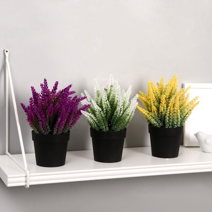 Бонсай в горшке Бонсай в горшке "Лаванда" 9х18 см, микс