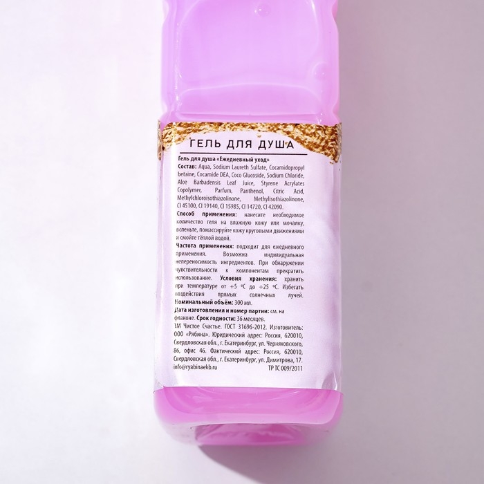 Гель для душа «Верь в мечты», 300 мл, аромат молочного шоколада, ЧИСТОЕ СЧАСТЬЕ Гель для душа «Верь в мечты», 300 мл, аромат молочного шоколада, ЧИСТОЕ СЧАСТЬЕ