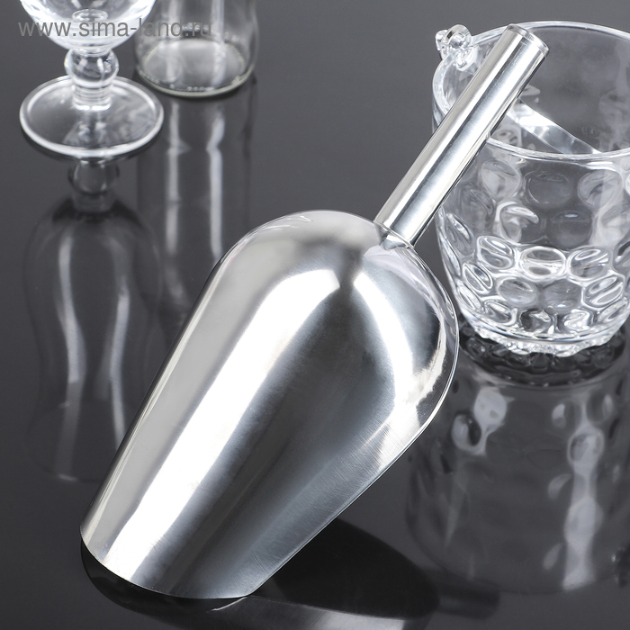 Совок из нержавеющей стали для льда и сыпучих продуктов, 30,5×13,5×6 см, цвет хромированный Совок из нержавеющей стали для льда и сыпучих продуктов, 30,5×13,5×6 см, цвет хромированный