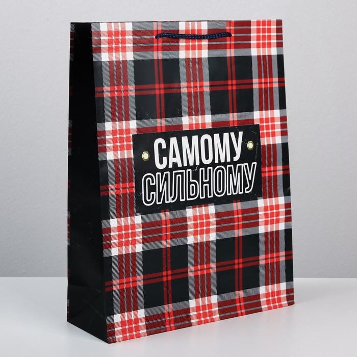 Пакет подарочный ламинированный, упаковка, Real strong, L 28 х 38 х 9 см Пакет подарочный ламинированный, упаковка, Real strong, L 28 х 38 х 9 см