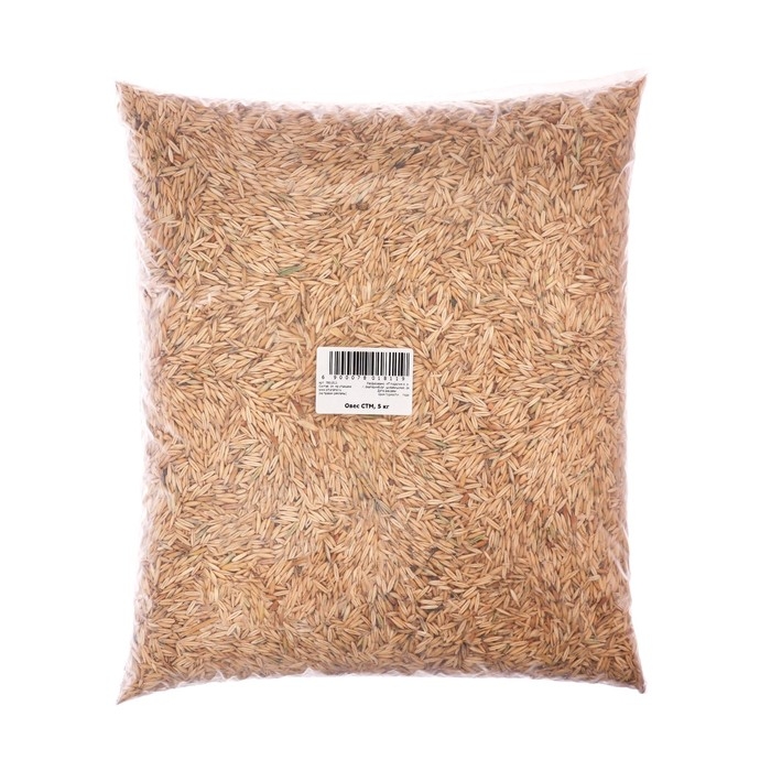 Семена Овес, Мой Выбор, 5 кг Семена Овес, Мой Выбор, 5 кг