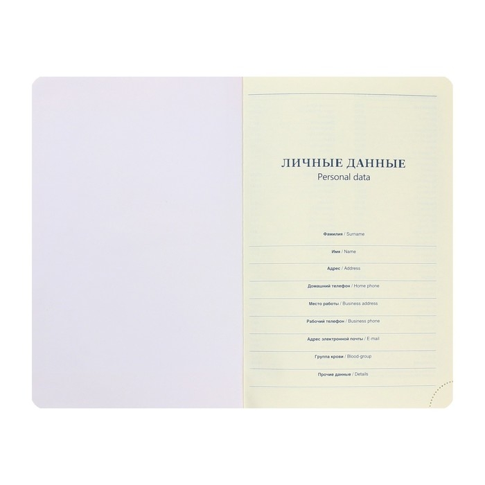 Ежедневник НЕдатированный А5, 136 листов в линейку, кожзам Ежедневник НЕдатированный А5, 136 листов в линейку, кожзам "Небраска", золотой срез, зеленый