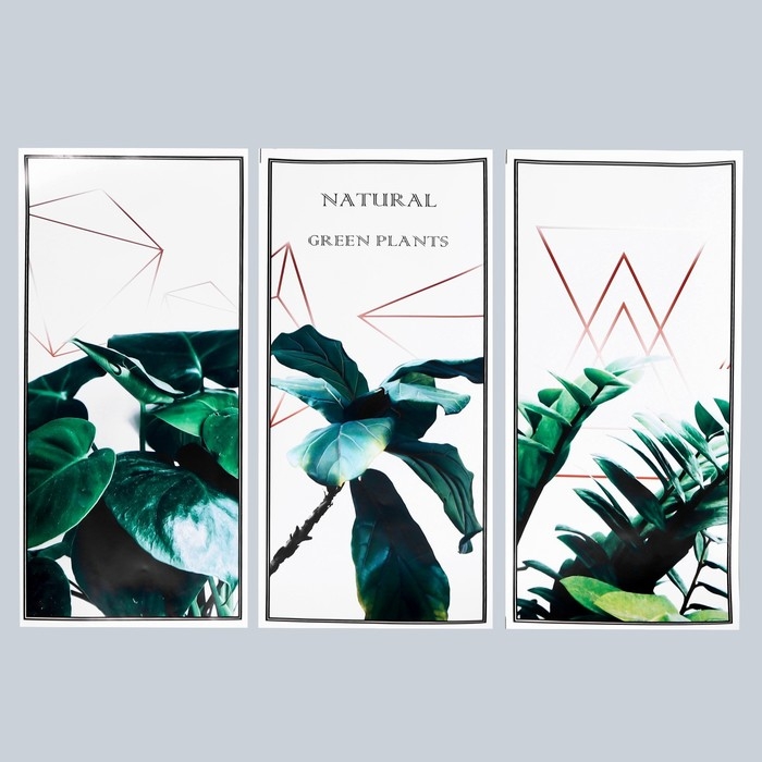 Наклейка пластик интерьерная триптих Наклейка пластик интерьерная триптих "Растения и геометрия" набор 3 листа 29,5х61 см