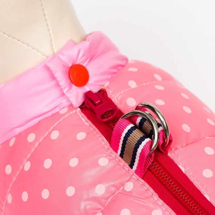 Комбинезон для собак Комбинезон для собак "Горошек", размер 14 (ДС 27, ОГ 38, ОШ 30 см), розовый