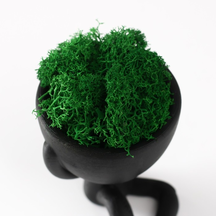 Кашпо бетонное мини Кашпо бетонное мини "Мистер Грин" Ивадзару со мхом черный 5,5х6,5х6,5 см (мох зел стабил.)