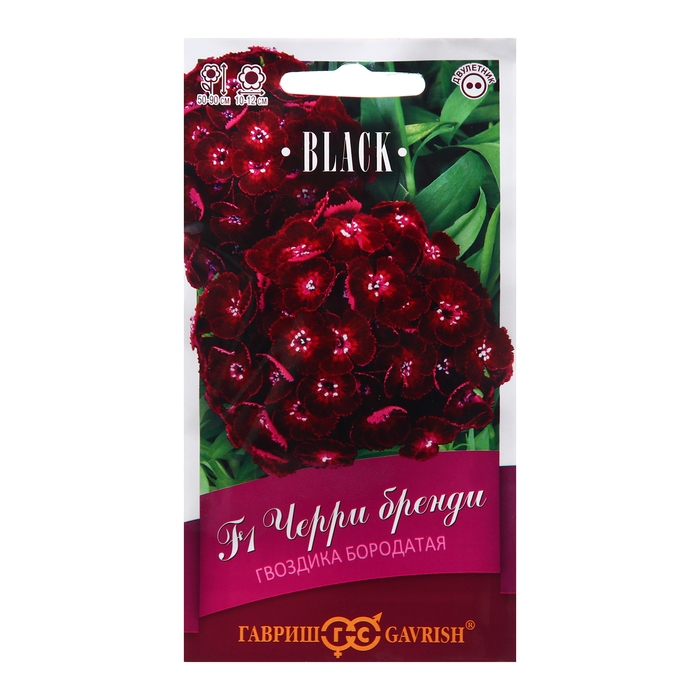 Семена Гвоздика  Семена Гвоздика "Черри бренди", F1, 4 шт.