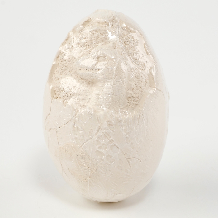 Новый год! Набор для раскопок &laquo;Волшебный змей&raquo;