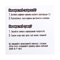 Набор для опытов «Живой сад: Милый единорог»