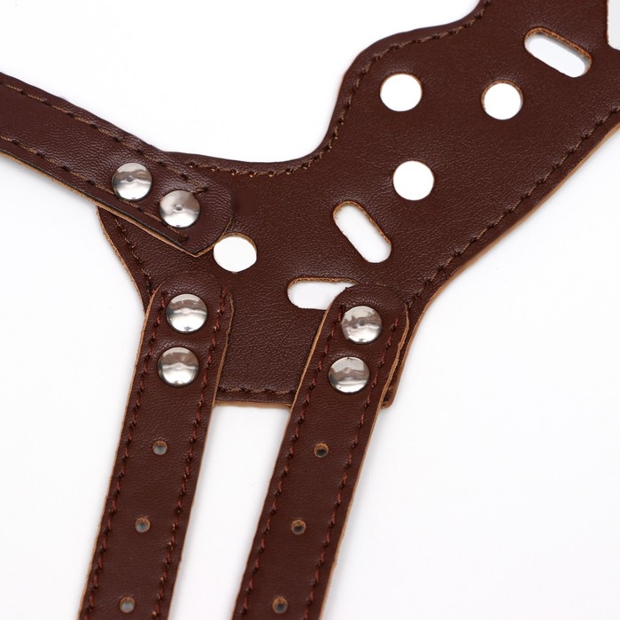 Намордник из прессованной кожи регулируемый, №1, ДН 4,5 см, ОМ 13-20 см, коричневый Намордник из прессованной кожи регулируемый, №1, ДН 4,5 см, ОМ 13-20 см, коричневый