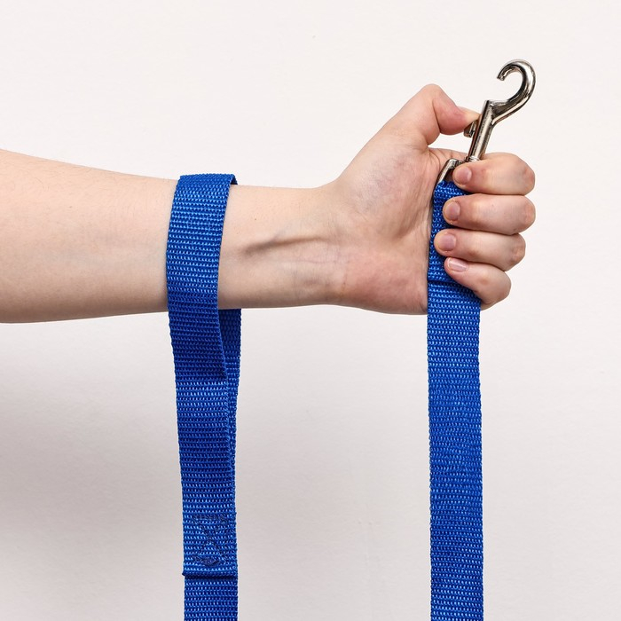 Поводок капроновый цветной Зооник, 5 м х 2,5 см, микс цветов Поводок капроновый цветной Зооник, 5 м х 2,5 см, микс цветов