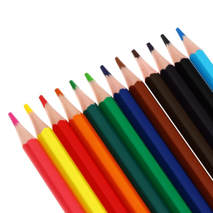 Набор для творчества Луч  Набор для творчества Луч "Zoo", 14 предметов