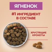 Сухой корм Purinа One medium/maxi для взрослых собак ягненок/рис, 10 кг