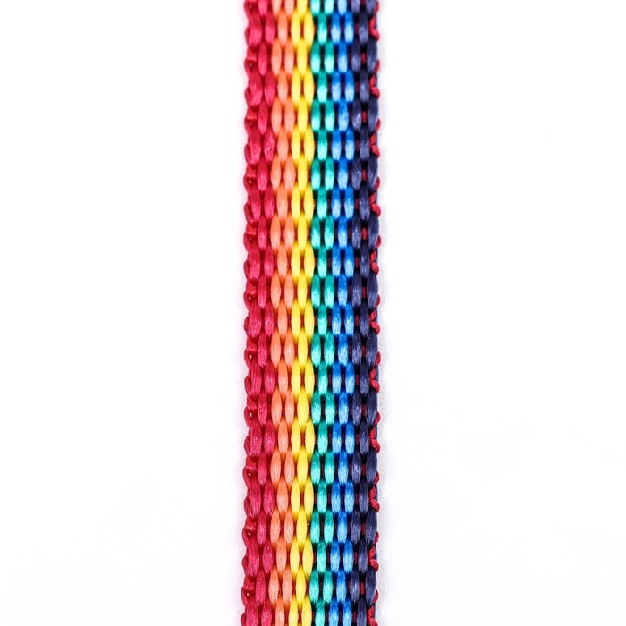 Поводок капроновый "Радуга", 1,6 м х 1 см