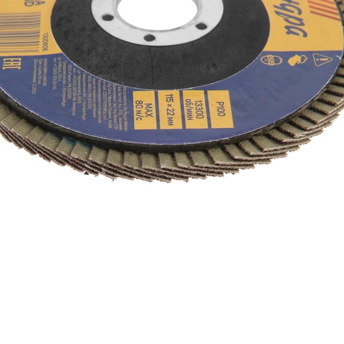 Круг лепестковый торцевой ТУНДРА, 115 х 22 мм, Р100 Круг лепестковый торцевой ТУНДРА, 115 х 22 мм, Р100