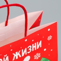 Пакет подарочный новогодний крафтовый «Что-то на богатом», 22 х 22 х 11 см